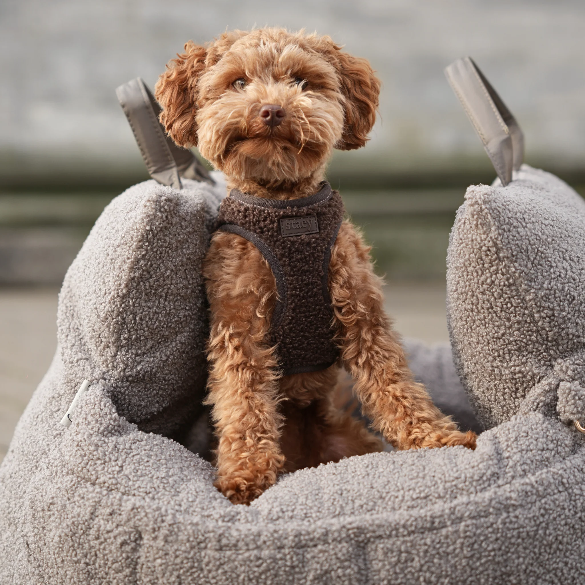 Lara Car Seat | Teddy 2.0 - Image 3