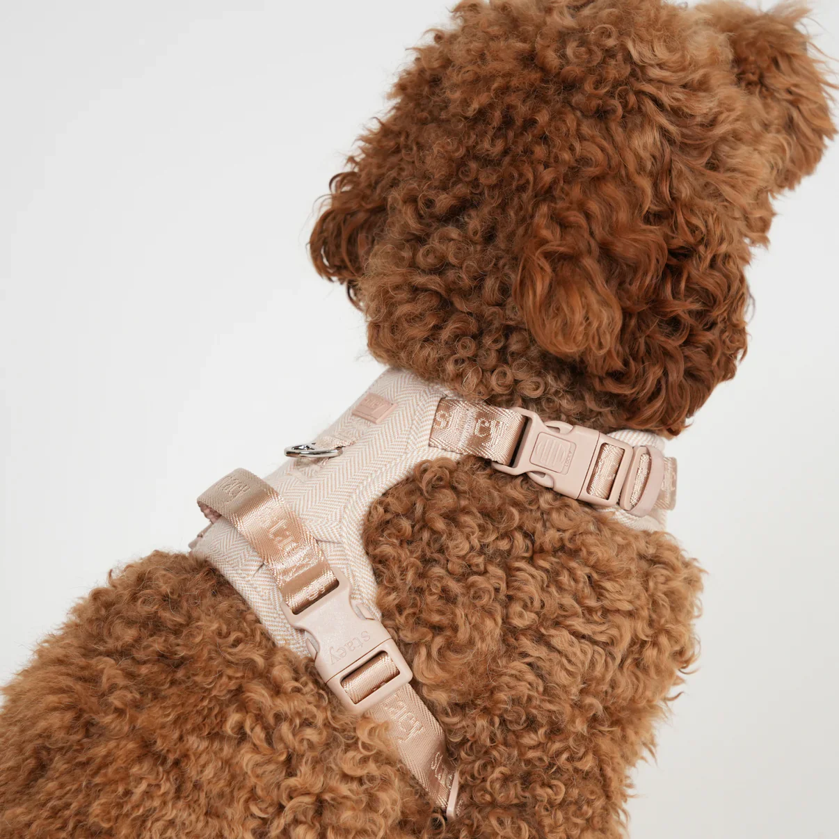 Elma Dog Harness | Light Rose - Image 8